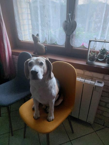 Photo du logement