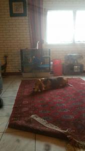 Photo du logement