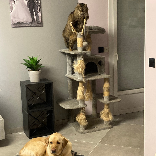 Photo du logement