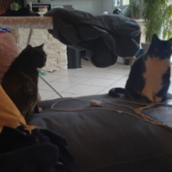 Photo du logement