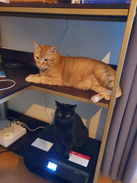Photo du logement