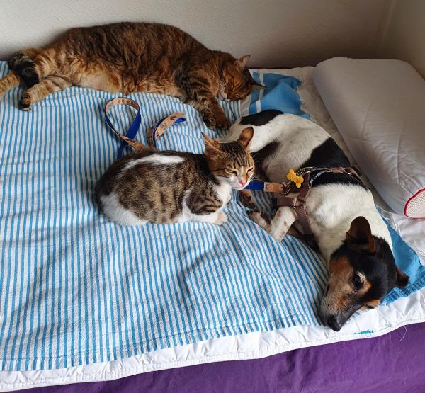 Photo du logement