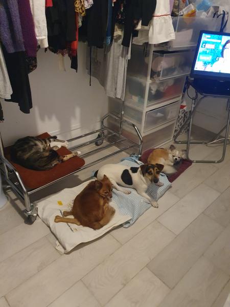 Photo du logement