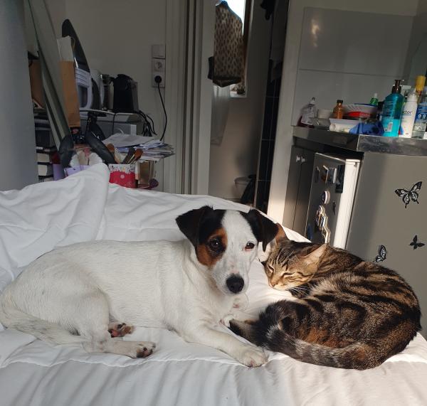 Photo du logement