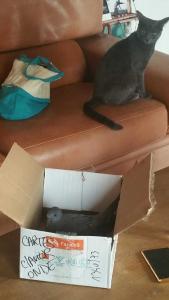 Photo du logement