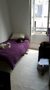 Photo du logement