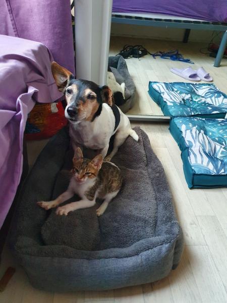 Photo du logement