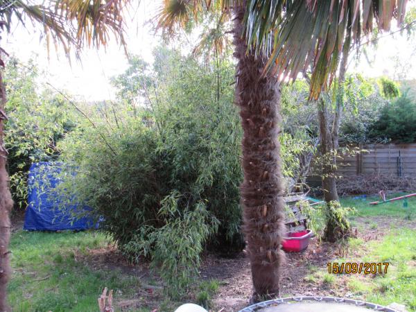 Photo du logement