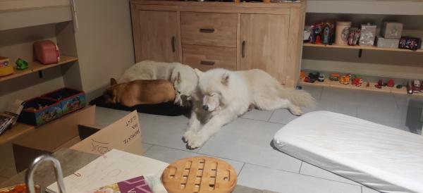 Photo du logement