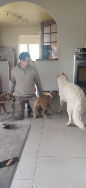 Photo du logement