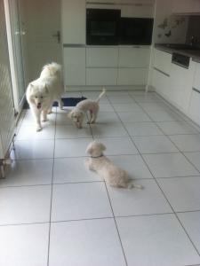 Photo du logement