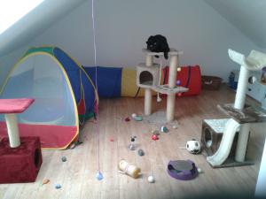 Photo du logement