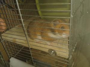 Photo du logement