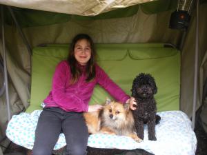 Photo du logement