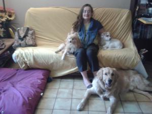 Photo du logement