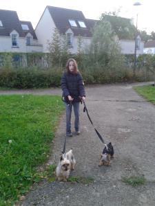 Photo du logement