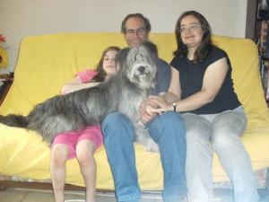 Photo du logement