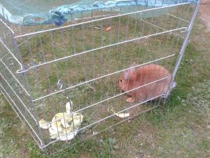 Photo du logement