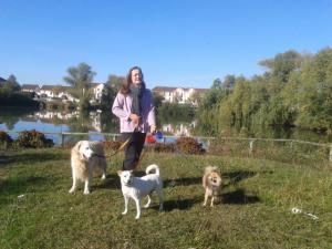 Photo du logement