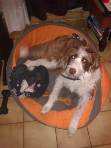 Photo du logement