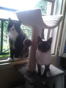 Photo du logement