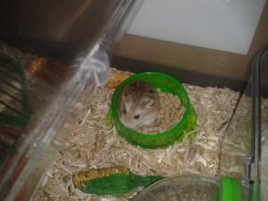 Photo du logement