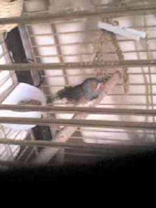 Photo du logement