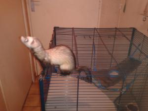 Photo du logement