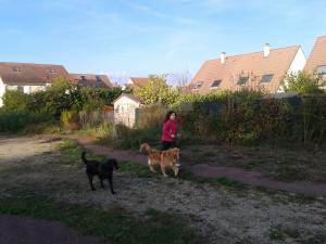 Photo du logement