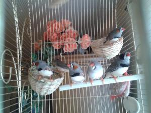 Photo du logement