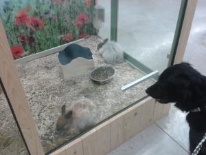 Photo du logement