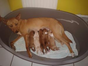 Photo du logement