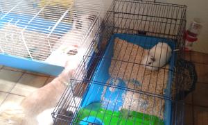 Photo du logement
