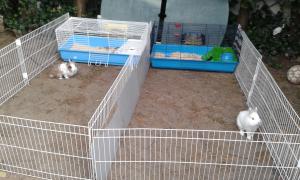 Photo du logement