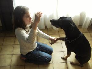 Photo du logement