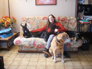 Photo du logement