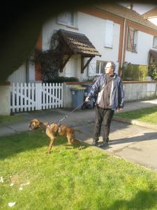 Photo du logement