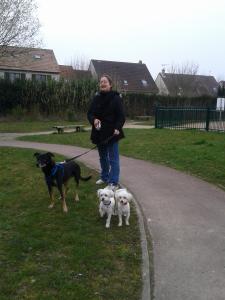 Photo du logement