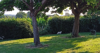 Photo du logement