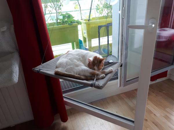 Photo du logement