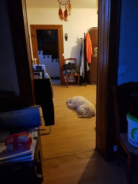 Photo du logement