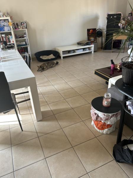 Photo du logement