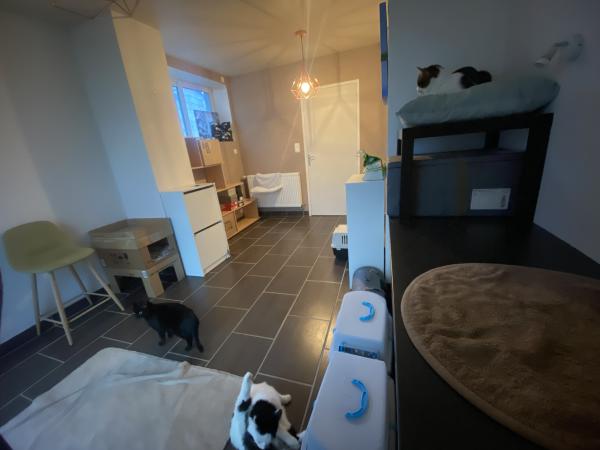 Photo du logement