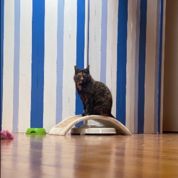 Photo du logement