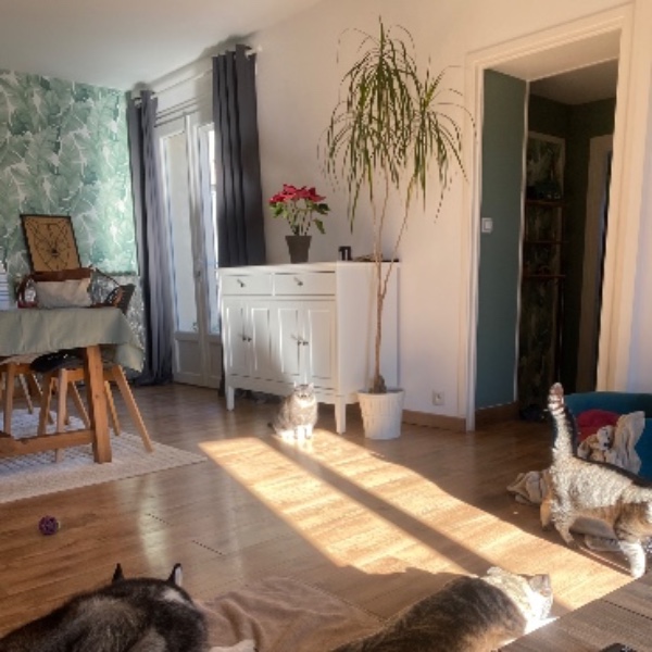 Photo du logement