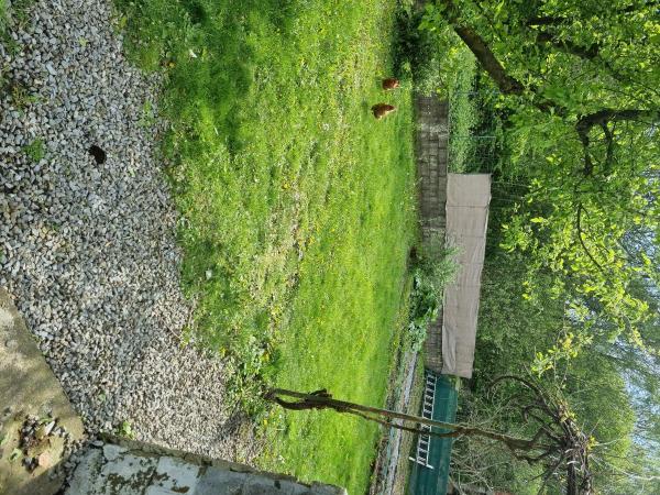 Photo du logement
