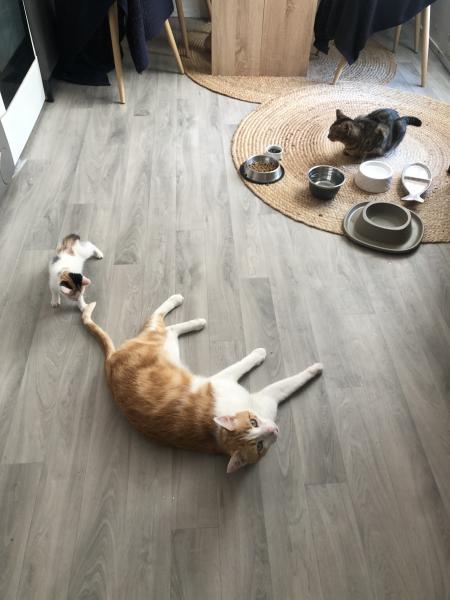 Photo du logement