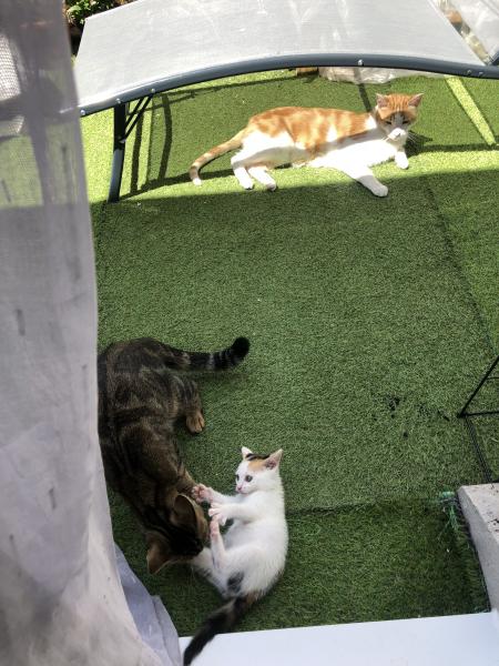 Photo du logement