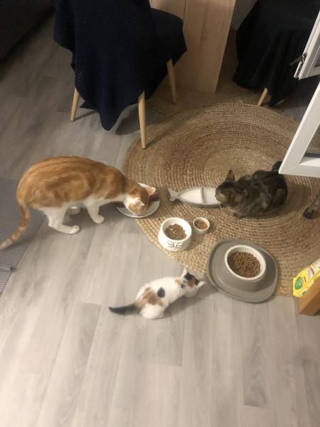 Photo du logement