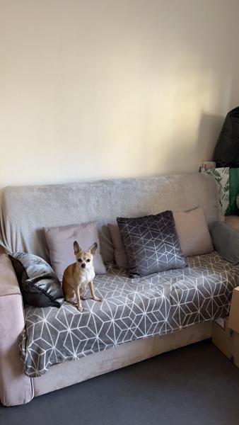 Photo du logement
